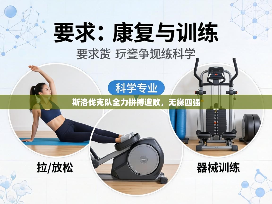 斯洛伐克队全力拼搏遭败，无缘四强  第2张